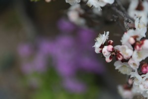変換 ～ 182A3638小山貴雄
