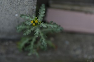 変換 ～ 182A3643小山貴雄