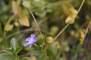 変換 ～ 182A3647小山貴雄