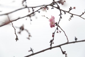変換 ～ 182A3707小山貴雄