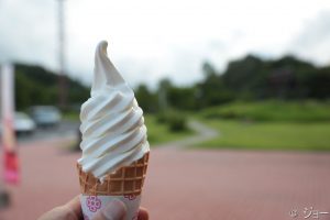 蒜山SA