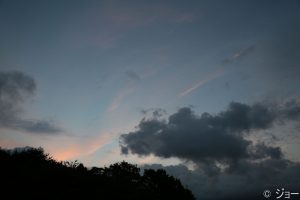 蒜山SA